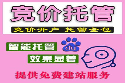百度推广案例集锦：实战解析助力企业转型
